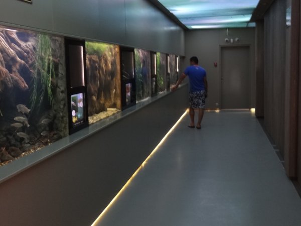 Bodorka Balaton Akv�rium