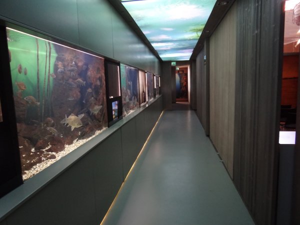 Bodorka Balaton Akv�rium