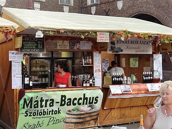 Bort�r Szeged 2016