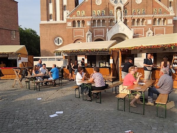 Bort�r Szeged 2016