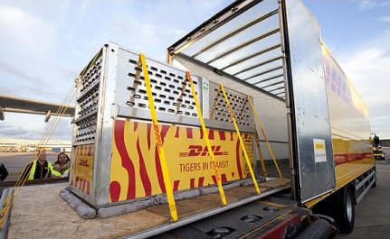 Tigriseket sz�ll�tott a DHL