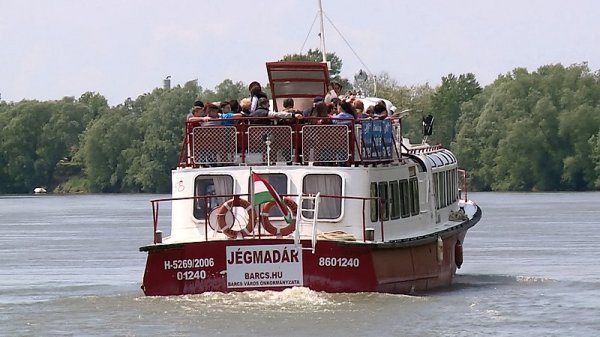 Jégmadár vízibusz